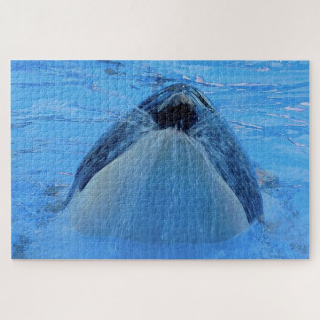 Jigsaws Orcas ou Killer Whales Quebra-cabeça (Horizontal)