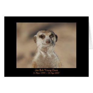 Jim Bob - cartão das legendas