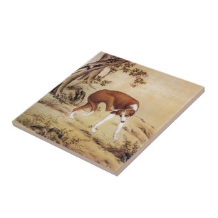 Jinchixian 金 翅 猃 ~ Greyhound ~ Giuseppe Castiglion