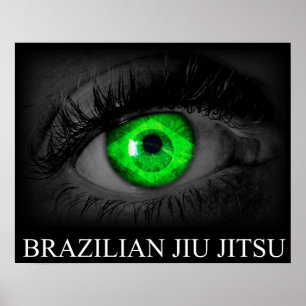 Jiu Jitsu - Poster de visão