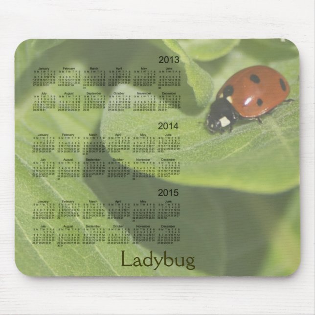 Joaninha calendário Mousepad de 3 anos 2013-2015 (Frente)