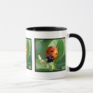 Joaninha, caneca do ~ do joaninha