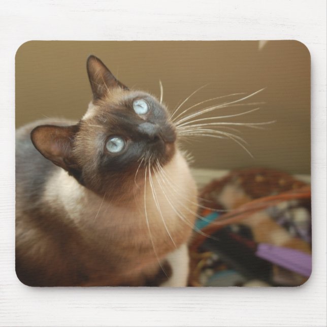 Joaninha Mousepad (Frente)