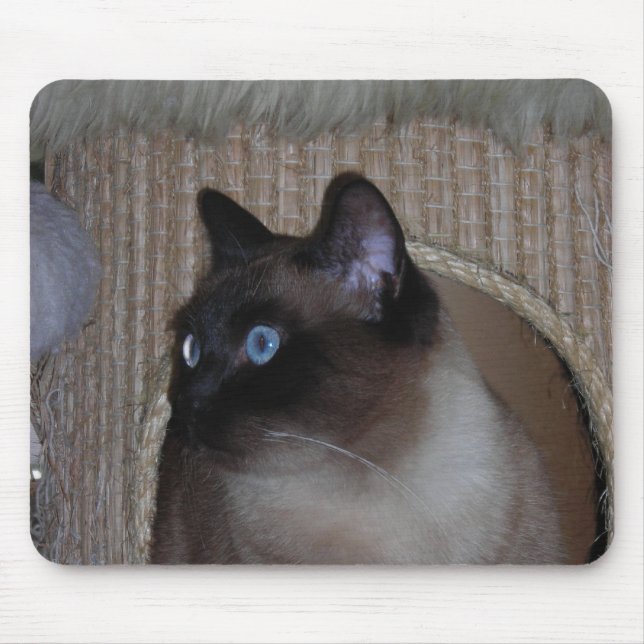 Joaninha Mousepad (Frente)