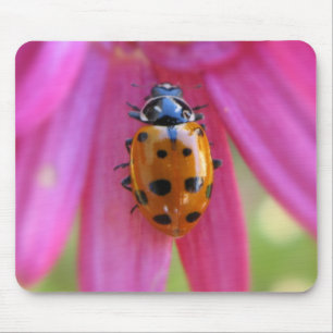 Joaninha Mousepad