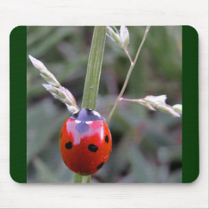 Joaninha Mousepad