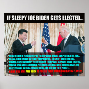 JOE BIDEN ELEIÇÃO POSTER