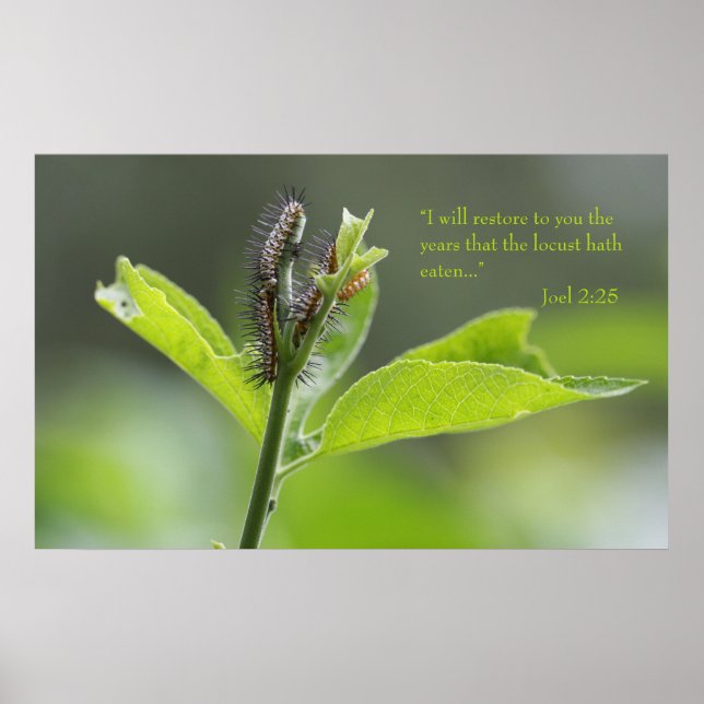 Joel 2:25 Scripture Poster (Versão C) (Frente)