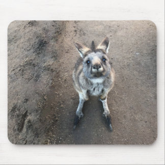 Joey Kangaroo Mouse Pad