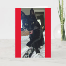 jogo convite remoto gato engraçado