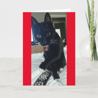 jogo convite remoto gato engraçado