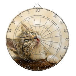 Jogo De Dardo Gatinho Fofo com uma Pata Estimulada