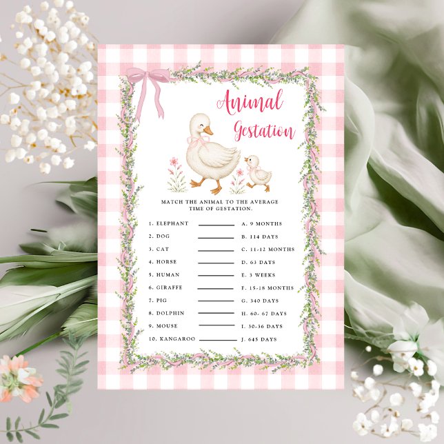 Jogo de Gestação Animal Silly Goose com Xadrez Ros (Criador carregado)