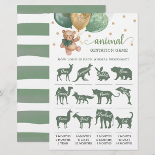 Jogo de Jogo de Animais - Urso Verde