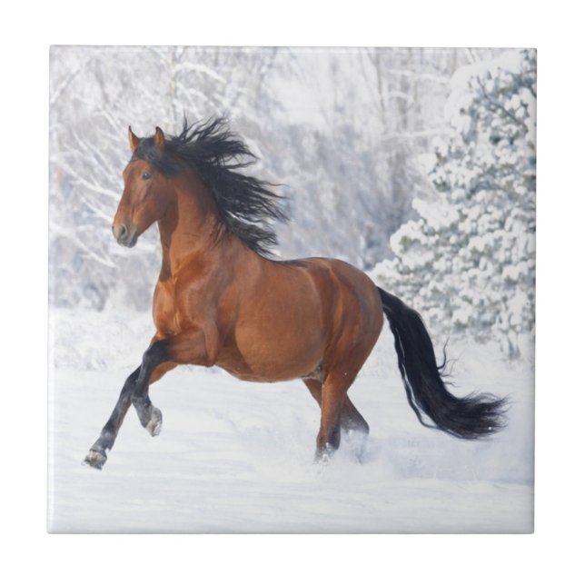 Jogo do cavalo na neve (Frente)