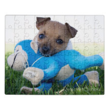 Jogo do filhote de cachorro de Jack Russel