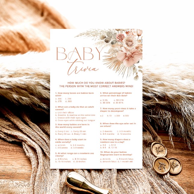 Jogo Pampas Grass Boho Bohemian Floral Baby Trivia (Criador carregado)