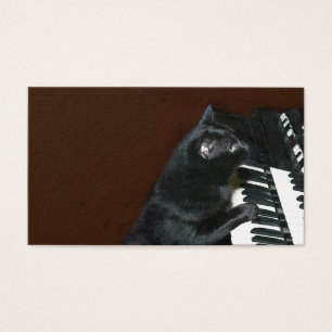 Jogo preto do gato do gatinho o órgão