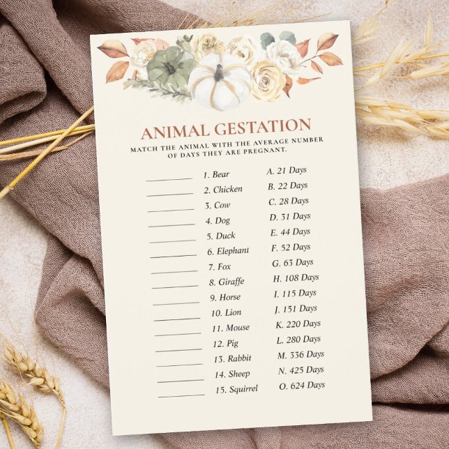 Jogos de Chá de fraldas de Pumpkin Animal (This delightful game is a wonderful way to celebrate in a fall-themed pumpkin baby shower design.)