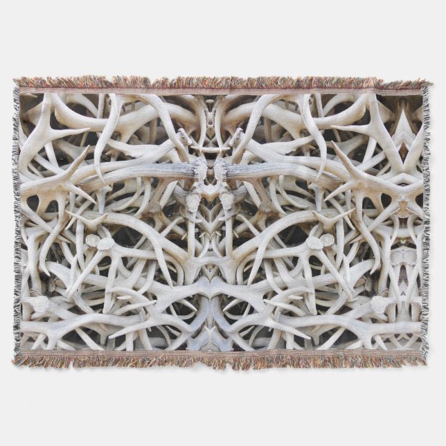 Jogue os cilindros de alce do cobertor (Frente)