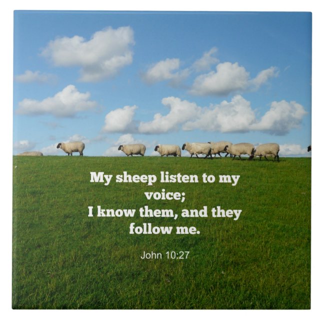 John 10:27, verso das escrituras, (Frente)