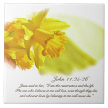 John 11:25-26, Páscoa, Daffodils Primavera amarelo