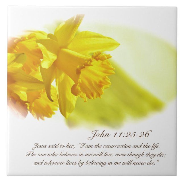 John 11:25-26, Páscoa, Daffodils Primavera amarelo (Frente)