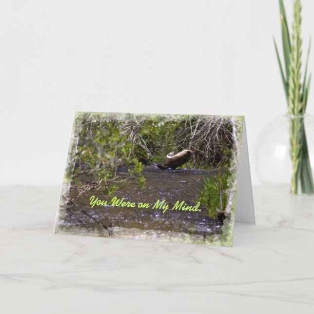 John 16:33 Cartão de encorajamento (Frente)