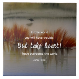 John 16:33 Eu tenho a Bíblia Verse Christian