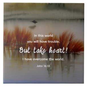 John 16:33 Eu tenho a Bíblia Verse Christian