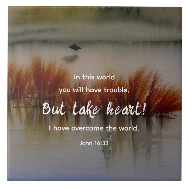 John 16:33 Eu tenho a Bíblia Verse Christian (Frente)