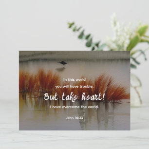 John 16:33 Eu tenho a Bíblia Verse Flat Card
