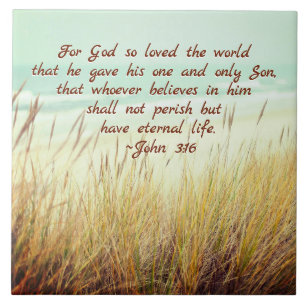 John 3:16 Por Deus tanto amou o mundo, Bíblia Vers