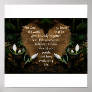 John 3:16 poster do portfólio básico King James