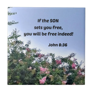 John 8:36 Se o Filho te libertar, você será