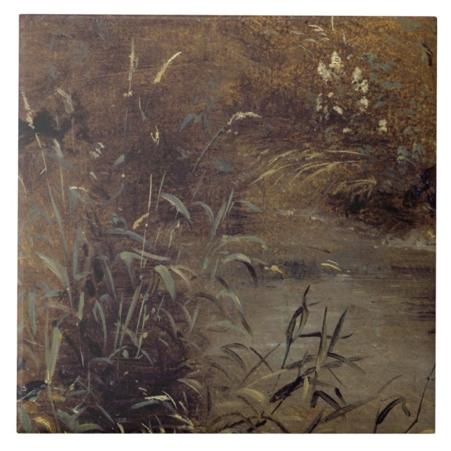 John Constable | Rushes por Piscina, c.1821 (óleo  (Frente)