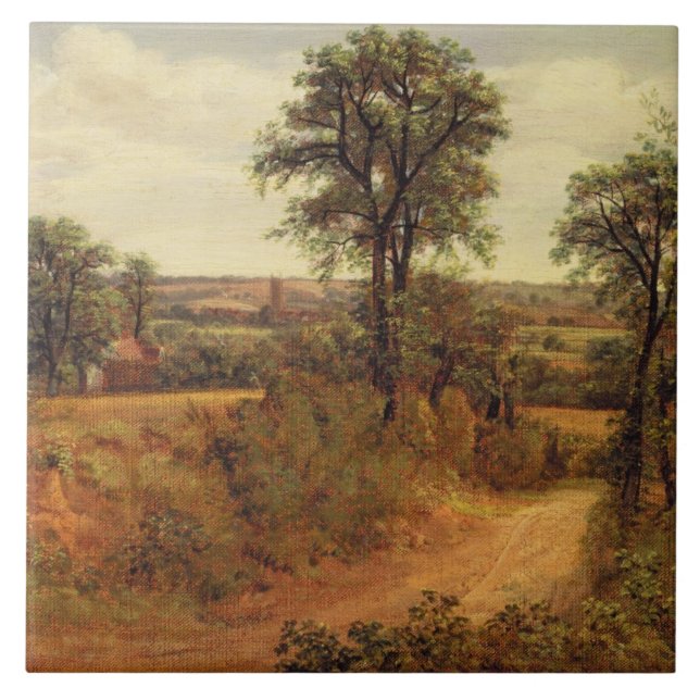 John Constable | Uma faixa perto de Dedham, c.1802 (Frente)