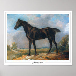 John Constable Zedign Art Poster nº 11-2