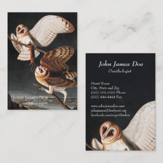 John James Audubon Barn Owls Cartão de visita