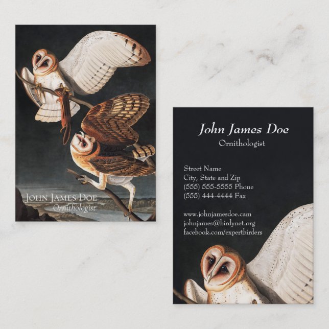 John James Audubon Barn Owls Cartão de visita (Frente/Verso)