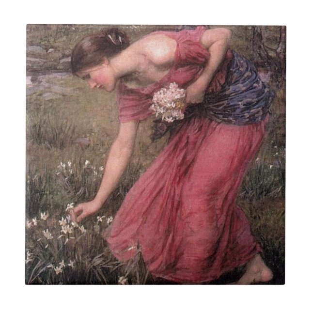 John William Waterhouse - Narcissus - Belas Artes (Frente)