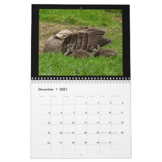 Joias do Havaí Calendário de 2021