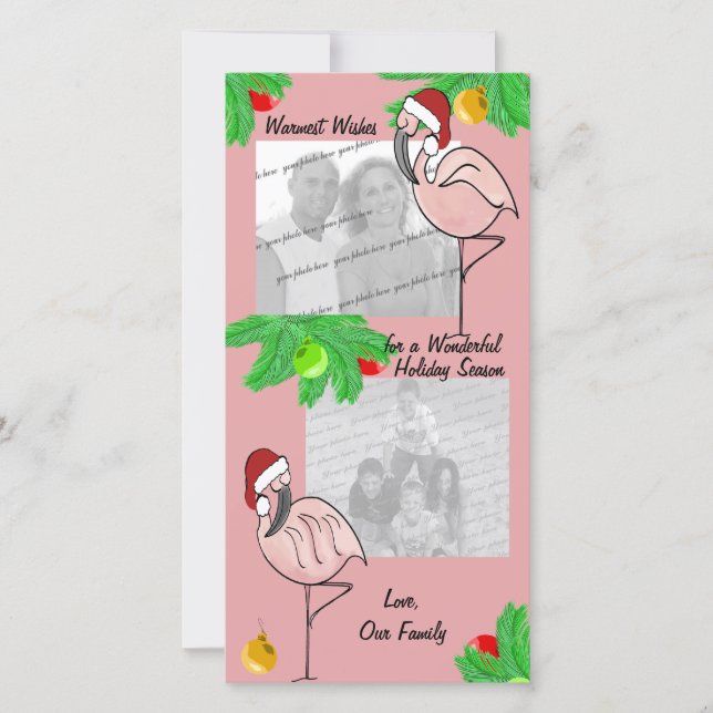 Jolly Flamingos/ Cartão de saudação fotográfico (Frente)