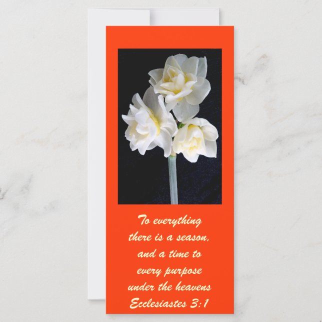 Jonquil Flower - Eclesiastes 3:1 (Frente)