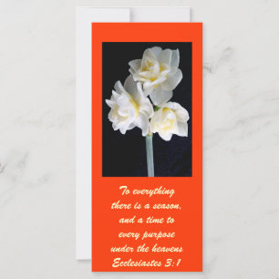 Jonquil Flower - Eclesiastes 3:1