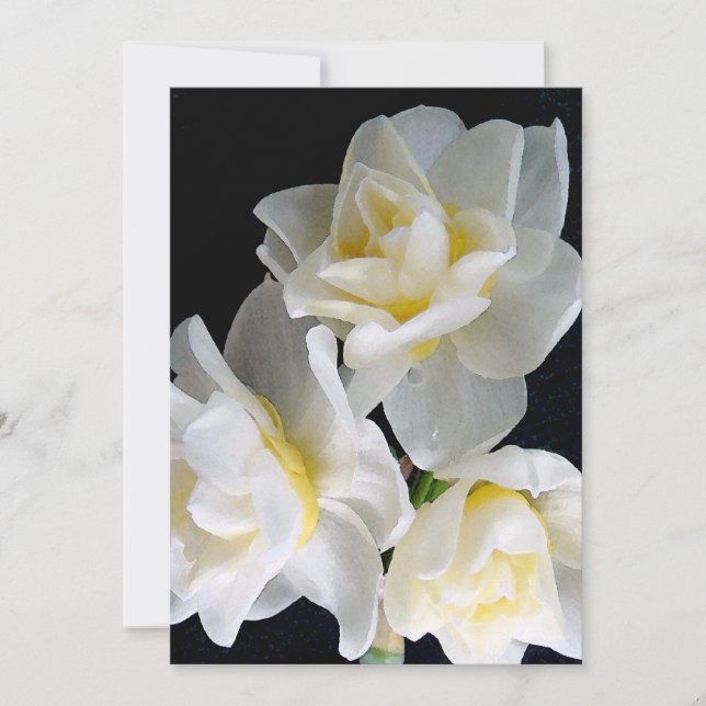 Jonquil Flower - Eclesiastes 3:1 (Frente)