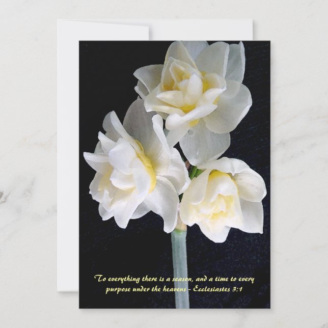 Jonquil Flower - Eclesiastes 3:1 (Frente)