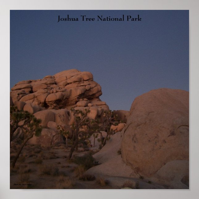 Joshua Tree National Park Poster (Frente)