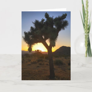 joshua tree sunset #3 cartão de saudação
