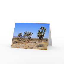 Joshua Trees, Deserto de Mojave, Cartão Saudável